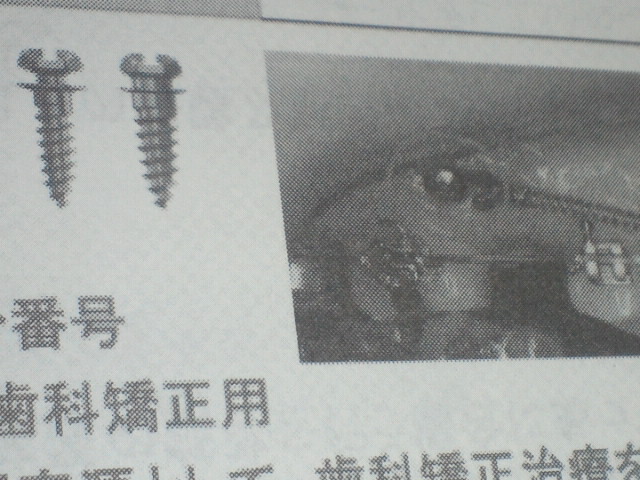 NEC_0303.jpg