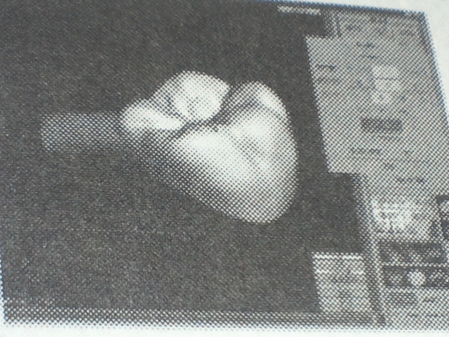 NEC_0304.jpg