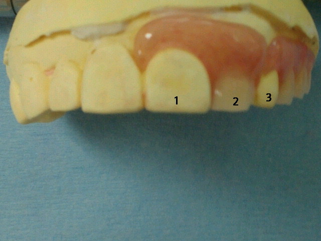 NEC_0305.jpg