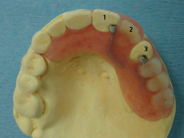 NEC_0308.jpg