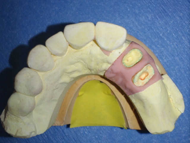 NEC_0319.jpg