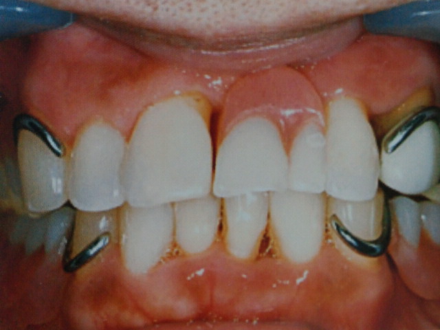 NEC_0338.jpg