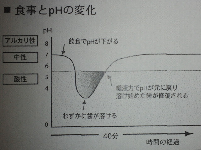 NEC_0340-2.jpg