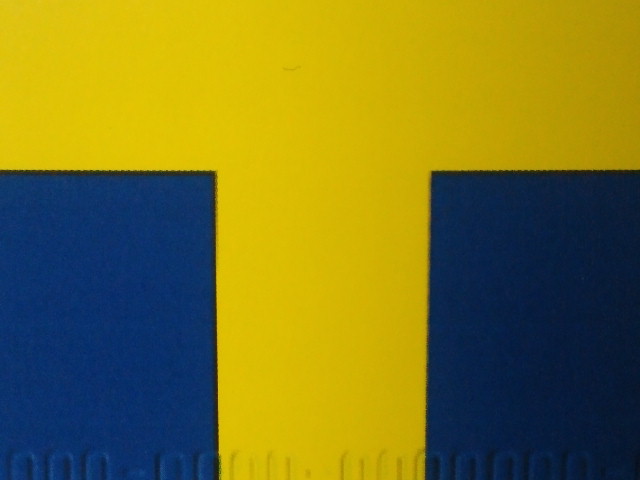 NEC_0345-1.jpg