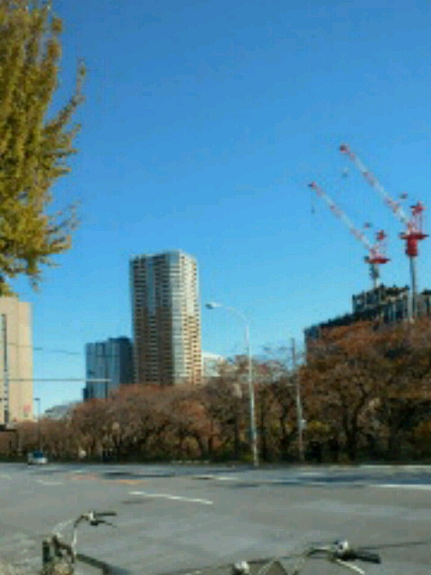 NEC_0345.jpg