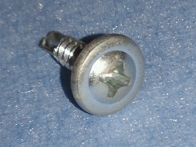 NEC_0370.jpg