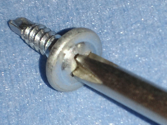 NEC_0371.jpg