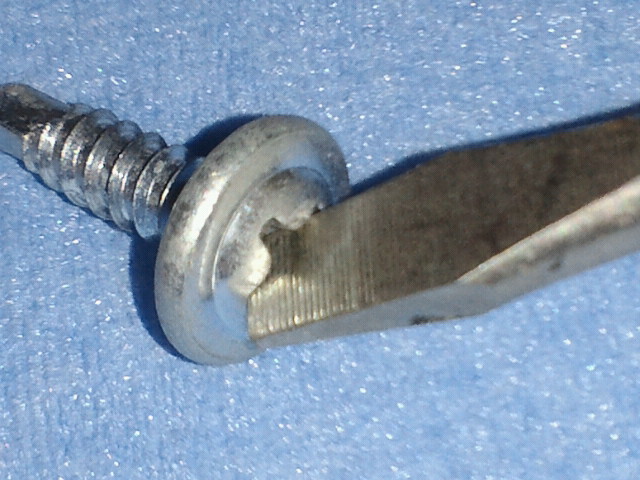 NEC_0372.jpg