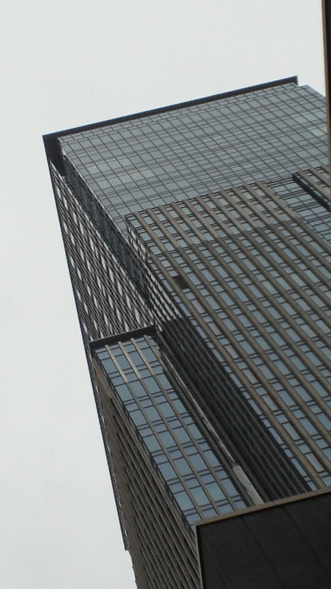 NEC_0414.jpg