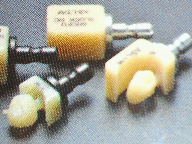 NEC_0435.jpg