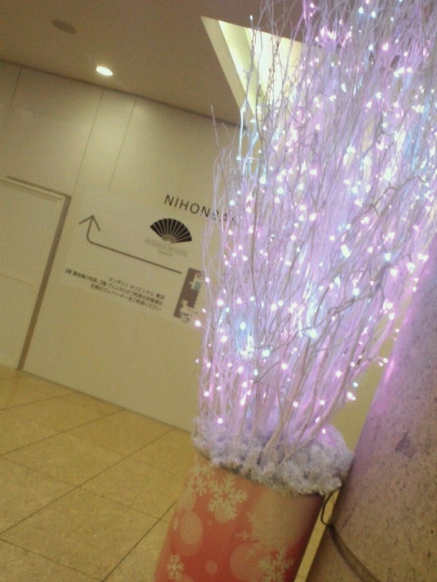 NEC_0464.jpg