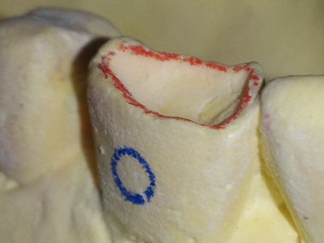 NEC_0482-1.jpg