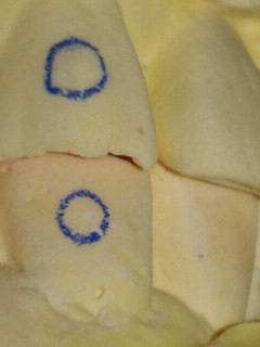 NEC_0483.jpg