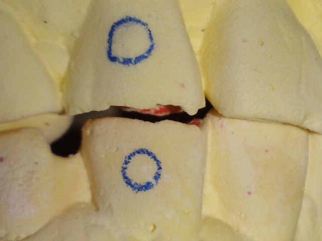 NEC_0486.jpg