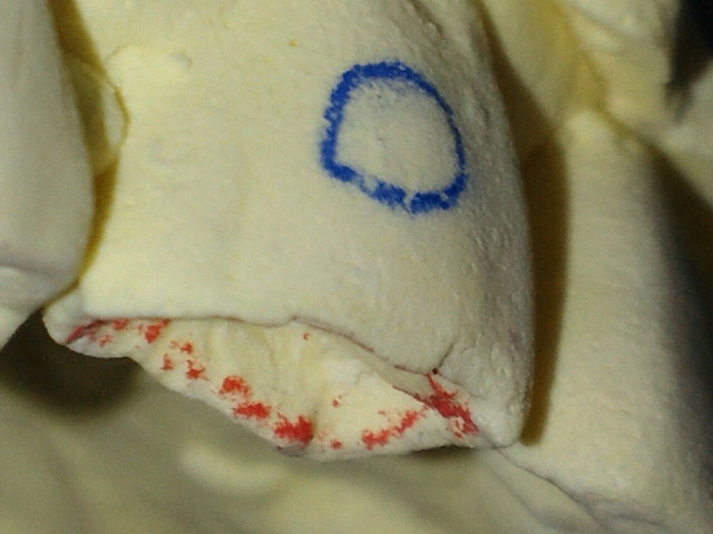NEC_0490.jpg