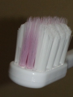 NEC_0494.jpg