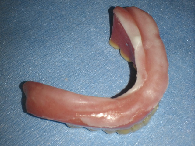 NEC_0520.jpg