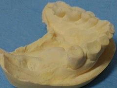 NEC_0566.jpg