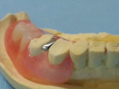 NEC_0567.jpg