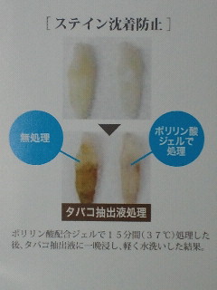 NEC_0568.jpg