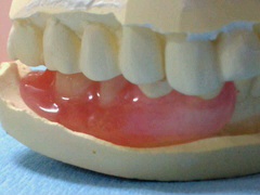 NEC_0570.jpg