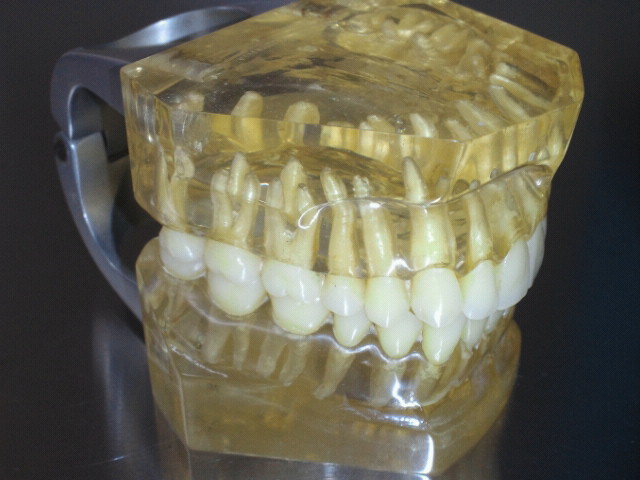 NEC_0579.jpg