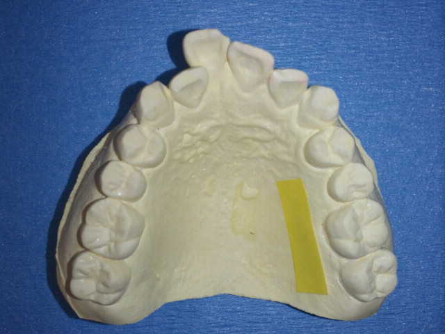 NEC_0630.jpg