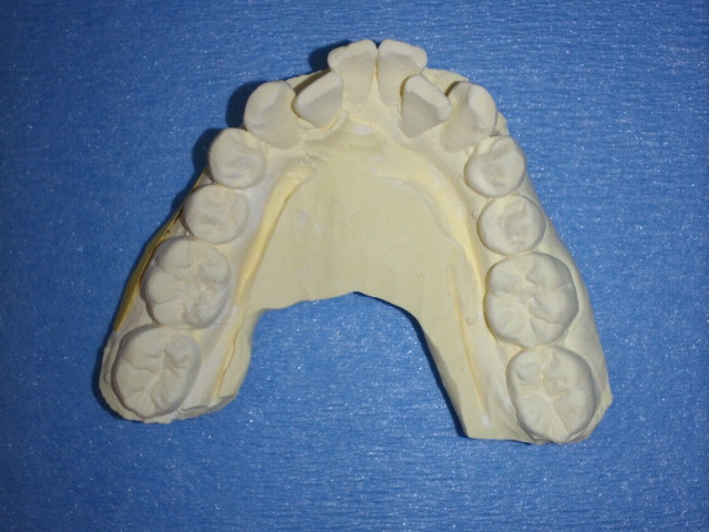 NEC_0631.jpg