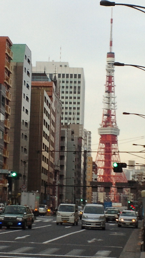 NEC_0671.jpg