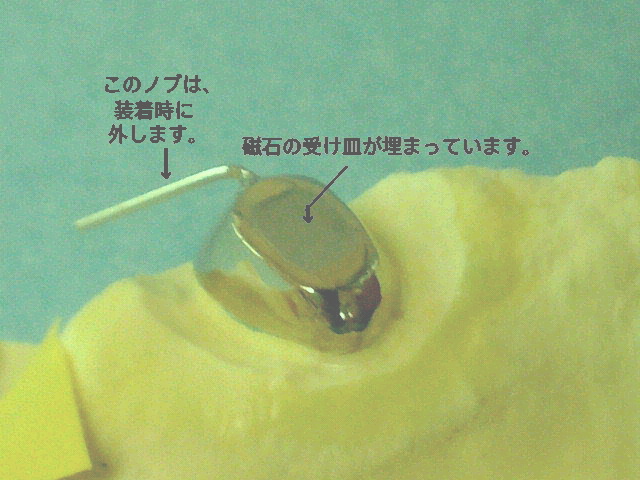 NEC_0859.jpg