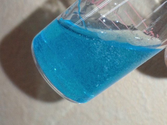 NEC_0916.jpg