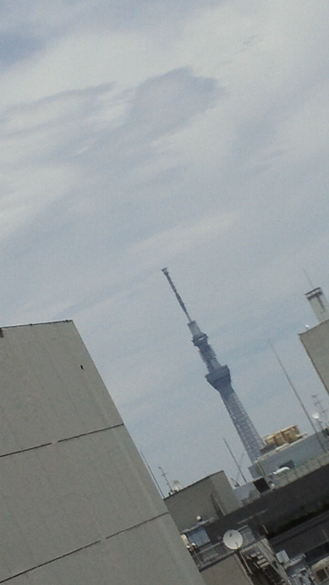 NEC_1309.jpg