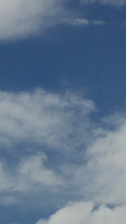 NEC_1311.jpg