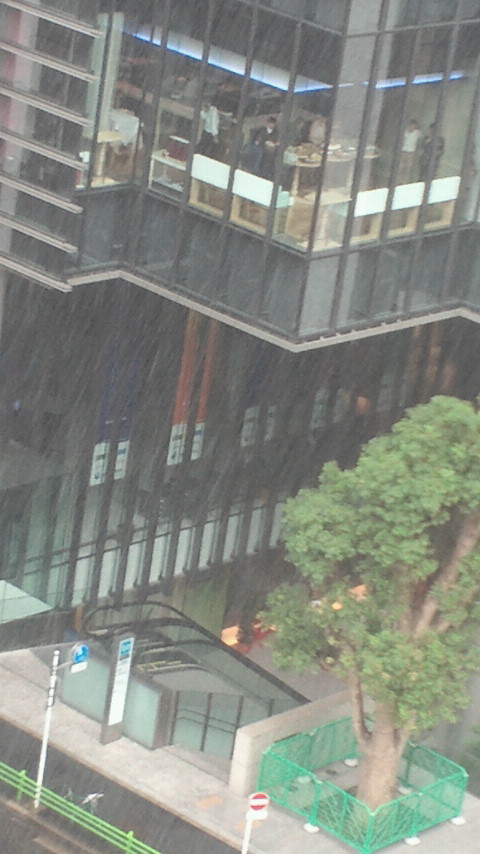 NEC_1357.jpg