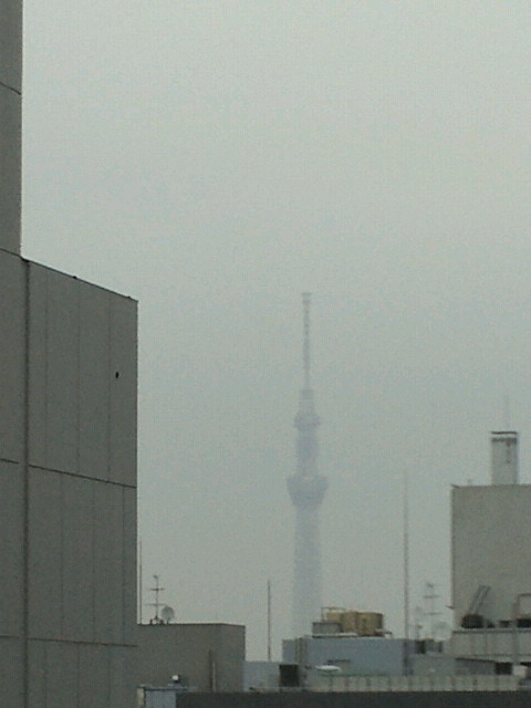 NEC_3227.jpg